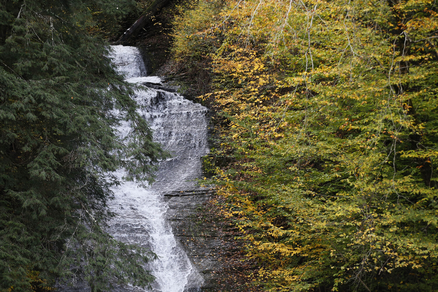 Waterfall in Otto